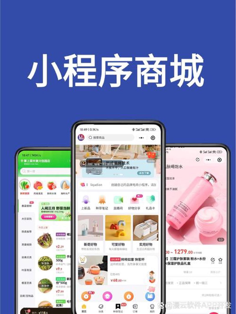 小程序开发，构筑移动生态的新篇章